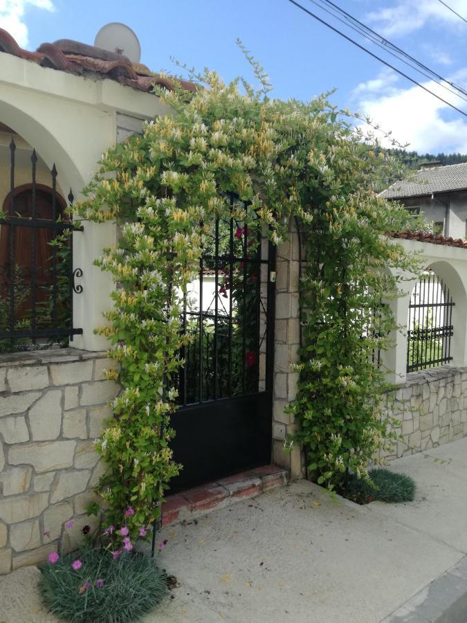 Guest House Benita Dewin Exterior foto