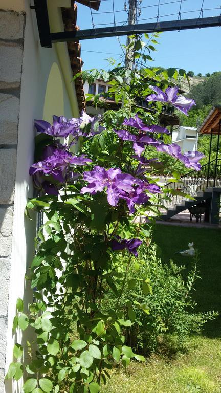 Guest House Benita Dewin Exterior foto